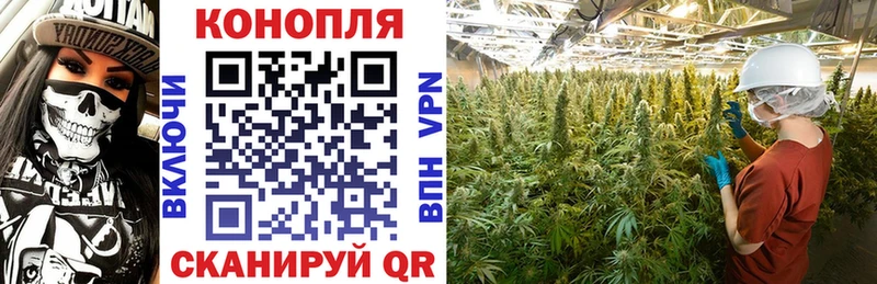 Каннабис VHQ  где найти   Серов 